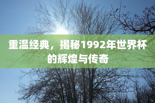 重温经典，揭秘1992年世界杯的辉煌与传奇