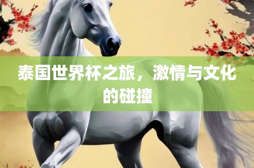 泰国世界杯之旅，激情与文化的碰撞