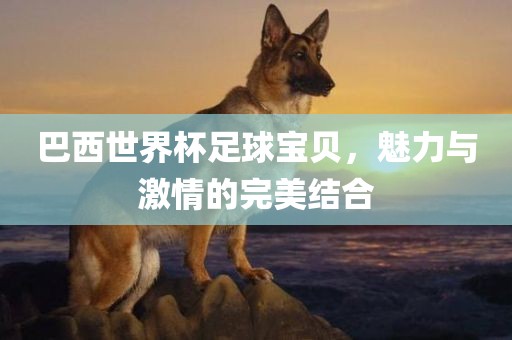 巴西世界杯足球宝贝，魅力与激情的完美结合