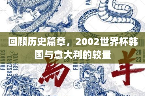 回顾历史篇章，2002世界杯韩国与意大利的较量