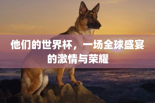 他们的世界杯，一场全球盛宴的激情与荣耀
