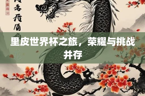 里皮世界杯之旅，荣耀与挑战并存