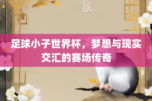 足球小子世界杯，梦想与现实交汇的赛场传奇