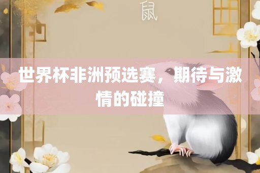 世界杯非洲预选赛，期待与激情的碰撞