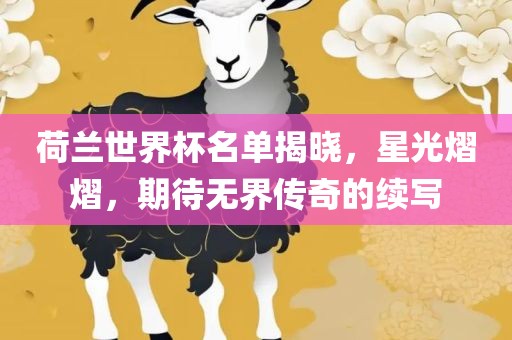 荷兰世界杯名单揭晓，星光熠熠，期待无界传奇的续写