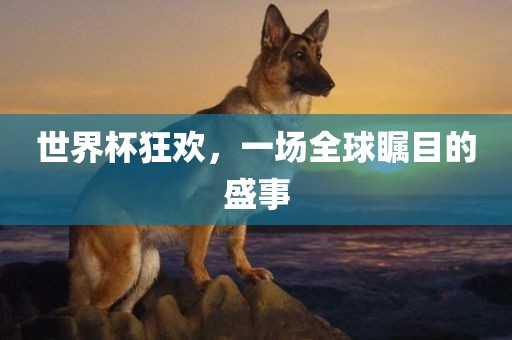 世界杯狂欢，一场全球瞩目的盛事