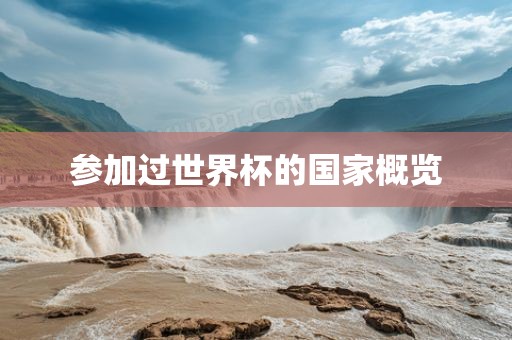 参加过世界杯的国家概览
