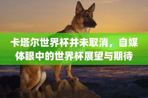 卡塔尔世界杯并未取消，自媒体眼中的世界杯展望与期待