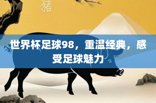 世界杯足球98，重温经典，感受足球魅力