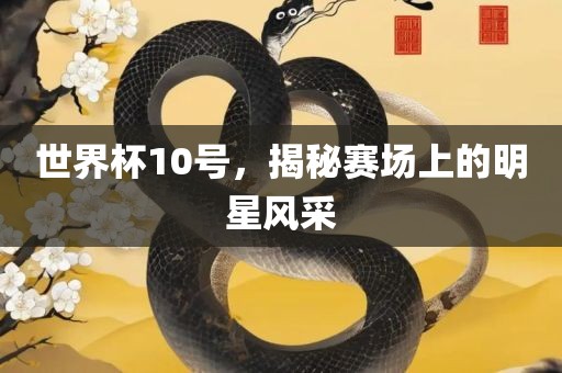 世界杯10号，揭秘赛场上的明星风采