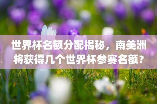 世界杯名额分配揭秘，南美洲将获得几个世界杯参赛名额？
