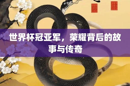 世界杯冠亚军，荣耀背后的故事与传奇