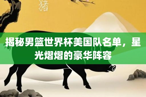 揭秘男篮世界杯美国队名单，星光熠熠的豪华阵容