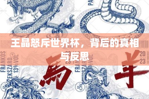 王晶怒斥世界杯，背后的真相与反思