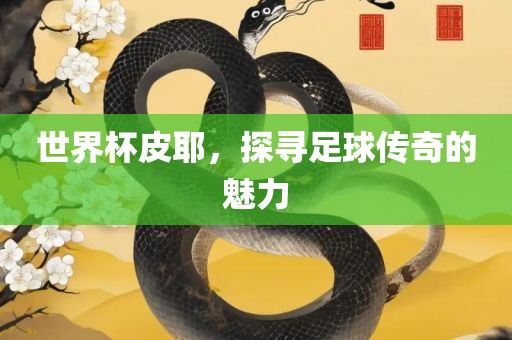 世界杯皮耶，探寻足球传奇的魅力