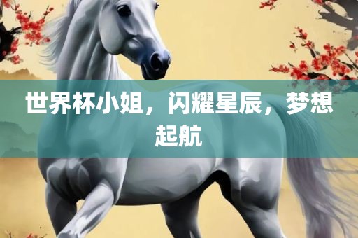 世界杯小姐，闪耀星辰，梦想起航