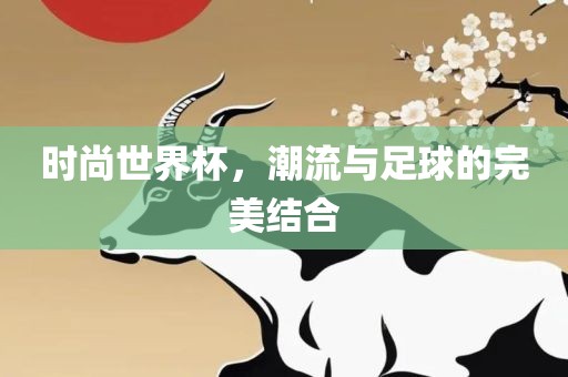 时尚世界杯，潮流与足球的完美结合