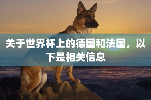 关于世界杯上的德国和法国，以下是相关信息