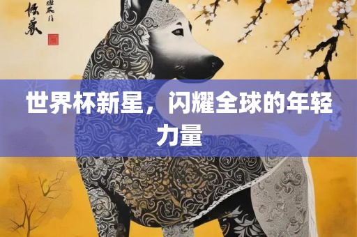 世界杯新星，闪耀全球的年轻力量