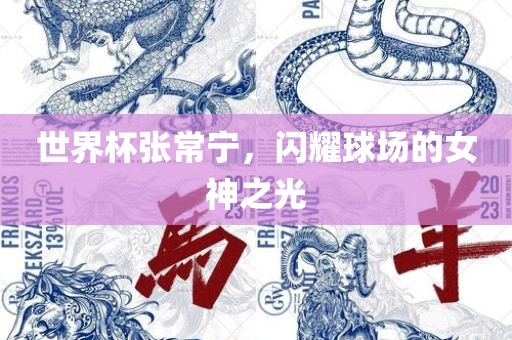 世界杯张常宁，闪耀球场的女神之光