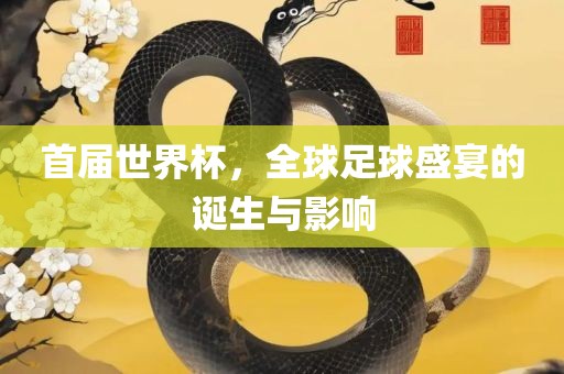 首届世界杯，全球足球盛宴的诞生与影响