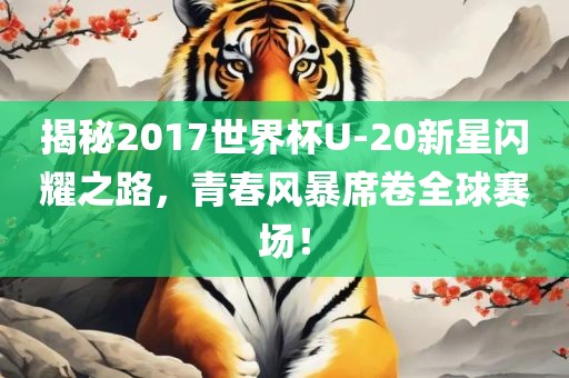揭秘2017世界杯U-20新星闪耀之路，青春风暴席卷全球赛场！