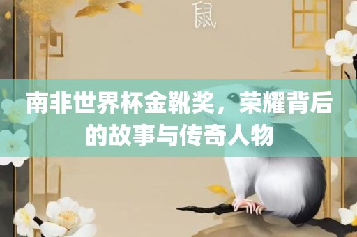 南非世界杯金靴奖，荣耀背后的故事与传奇人物