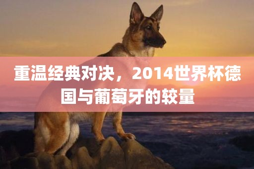重温经典对决，2014世界杯德国与葡萄牙的较量
