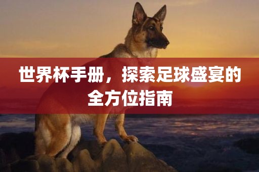 世界杯手册，探索足球盛宴的全方位指南