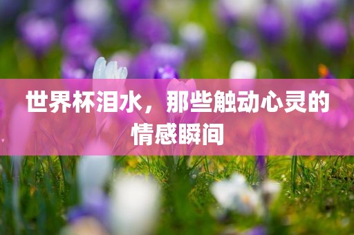 世界杯泪水，那些触动心灵的情感瞬间