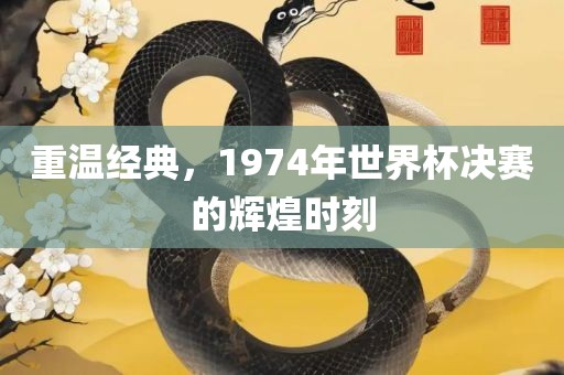 重温经典，1974年世界杯决赛的辉煌时刻