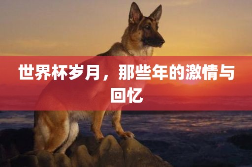 世界杯岁月，那些年的激情与回忆