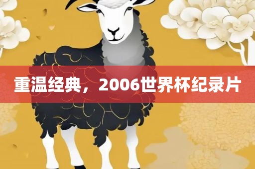 重温经典，2006世界杯纪录片