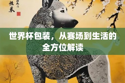 世界杯包装，从赛场到生活的全方位解读