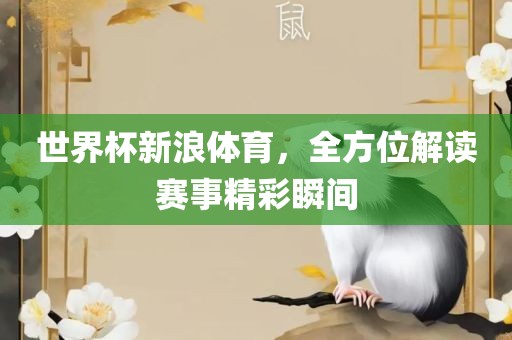 世界杯新浪体育，全方位解读赛事精彩瞬间