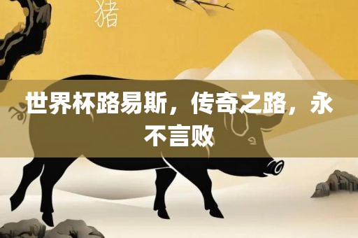 世界杯路易斯，传奇之路，永不言败