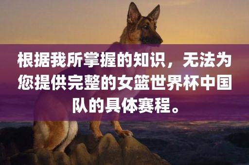根据我所掌握的知识，无法为您提供完整的女篮世界杯中国队的具体赛程。