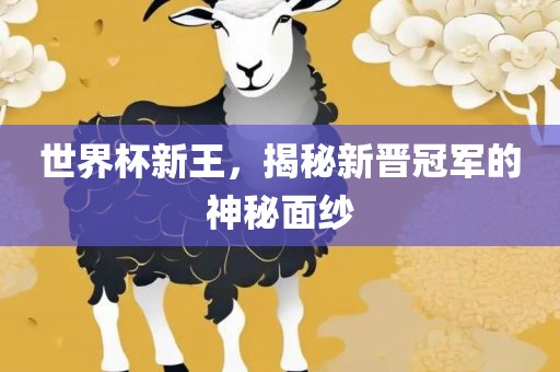 世界杯新王，揭秘新晋冠军的神秘面纱