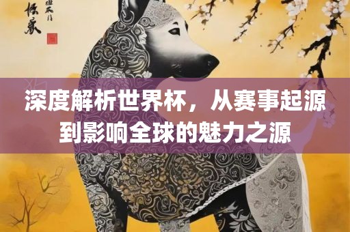 深度解析世界杯，从赛事起源到影响全球的魅力之源