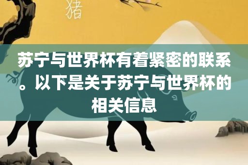 苏宁与世界杯有着紧密的联系。以下是关于苏宁与世界杯的相关信息