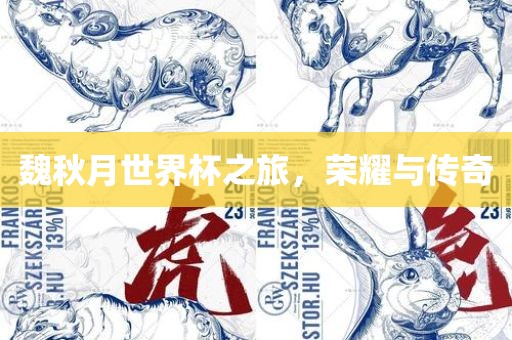 魏秋月世界杯之旅，荣耀与传奇