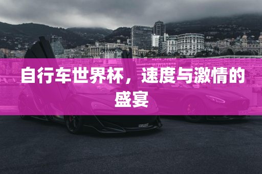 自行车世界杯，速度与激情的盛宴
