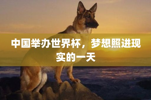中国举办世界杯，梦想照进现实的一天