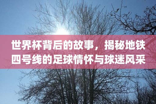 世界杯背后的故事，揭秘地铁四号线的足球情怀与球迷风采