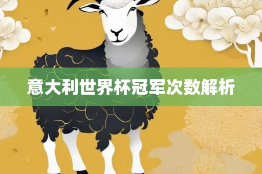 意大利世界杯冠军次数解析