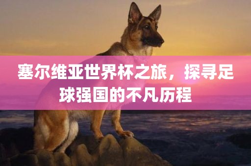 塞尔维亚世界杯之旅，探寻足球强国的不凡历程