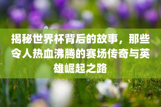 揭秘世界杯背后的故事，那些令人热血沸腾的赛场传奇与英雄崛起之路