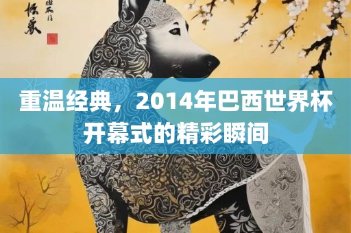 重温经典，2014年巴西世界杯开幕式的精彩瞬间