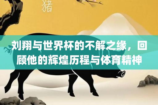 刘翔与世界杯的不解之缘，回顾他的辉煌历程与体育精神