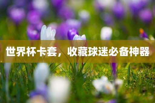 世界杯卡套，收藏球迷必备神器